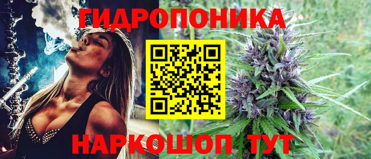 Конопля марихуана Баксан